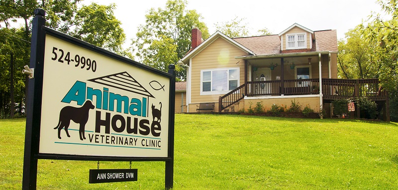 Veterinarian in Franklin, NC - welcome image Veterinarian in Franklin, NC